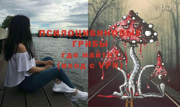 ПСИЛОЦИБИНОВЫЕ ГРИБЫ Покров