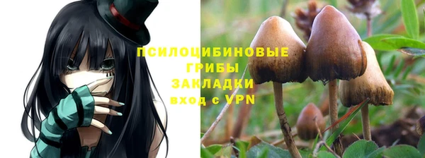 ПСИЛОЦИБИНОВЫЕ ГРИБЫ Покров