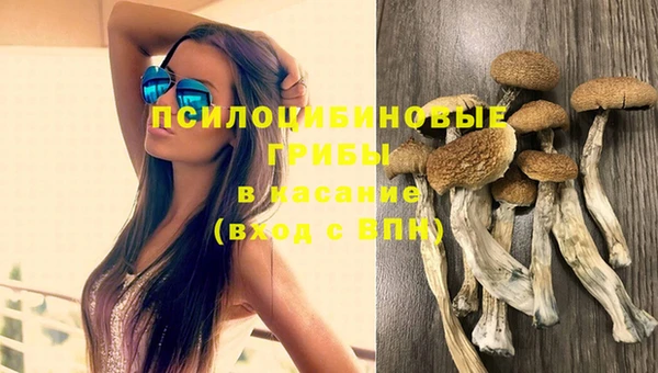 гашишное масло Покачи