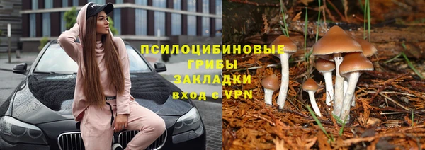 гашишное масло Покачи