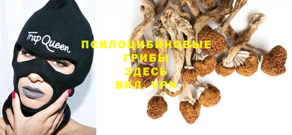 ПСИЛОЦИБИНОВЫЕ ГРИБЫ Покров