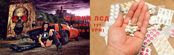 стафф Покровск