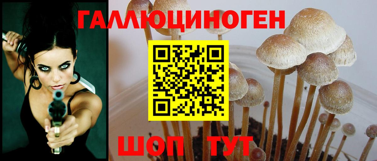 Тамбов  Псилоцибиновые грибы Psilocybe  Псилоцибиновые грибы MAGIC MUSHROOMS  Вход с VPN 